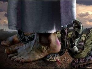 crushes head of snake